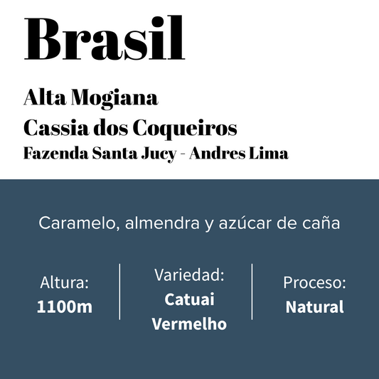 Café especial de la casa - Alta Mogiana - Fazenda Santa Jucy