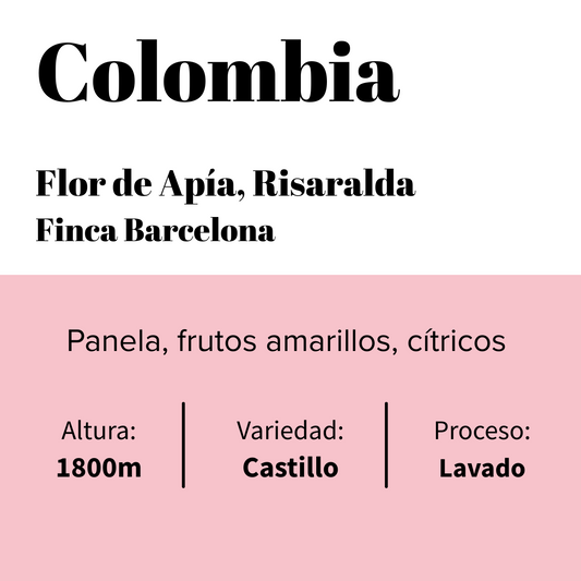 Colombia - Apía - Risaralda -  Finca Barcelona - Lavado