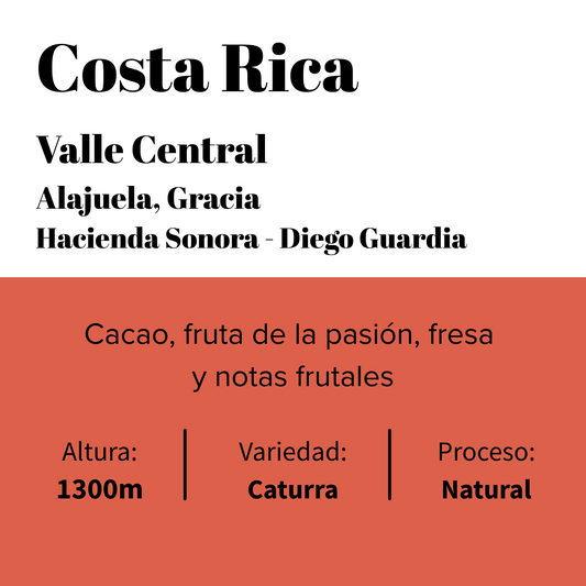 Costa Rica - Valle Central - Hacienda Sonora – Caturra Natural
