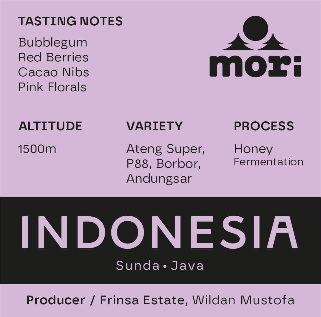 Indonesia - Frinsa Estate – Fermentation Honey