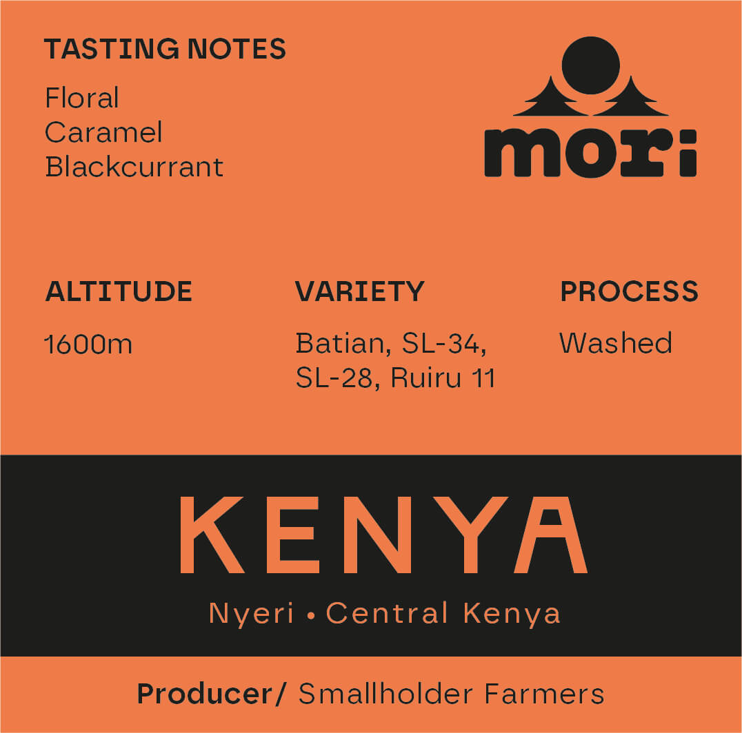 Kenya - Nyeri - Kenia Central - Lavado