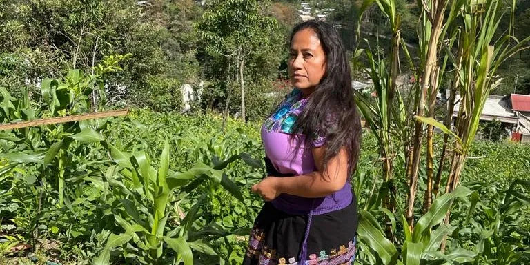 México - Bella Vista - Chiapas - Café de Mujeres -Lavado