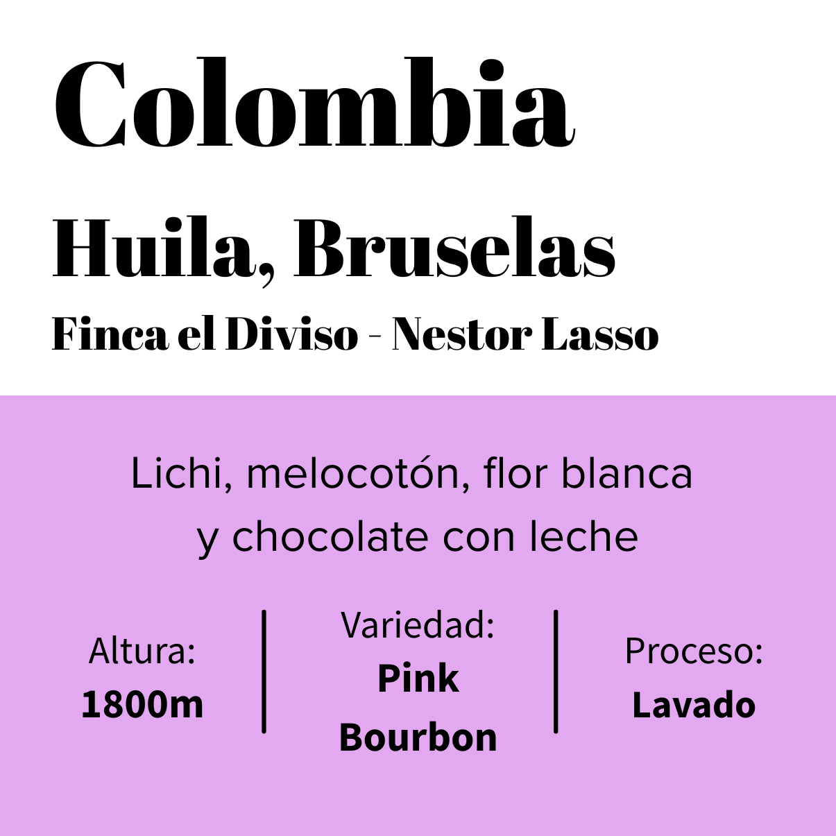 Colombia - Finca El Diviso - Pink Bourbon - Néstor Lasso