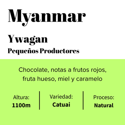 Myanmar -  Ywagan -  Pequeños Productores - Natural