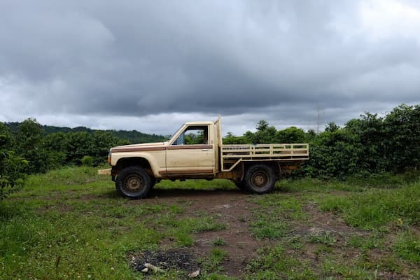 Papua Nueva Guinea - Aiyura - Kianantu - Natural