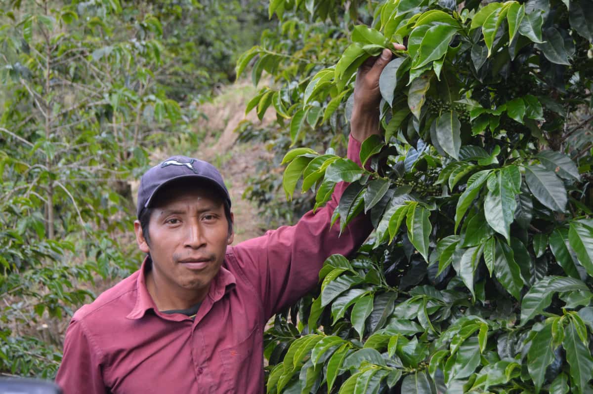 Guatemala - Huehuetenango - Santo Domingo - Lavado