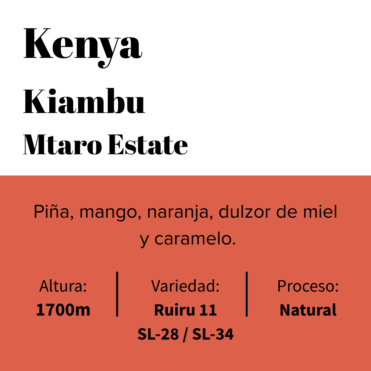 Kenya - Kiambu - Mtaro Estate - Natural