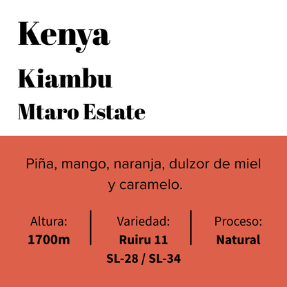 Kenya - Kiambu - Mtaro Estate - Natural