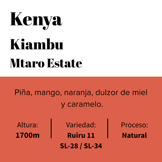 Kenya - Kiambu - Mtaro Estate - Natural