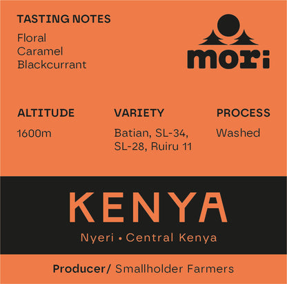 Kenya - Nyeri - Kenia Central - Lavado