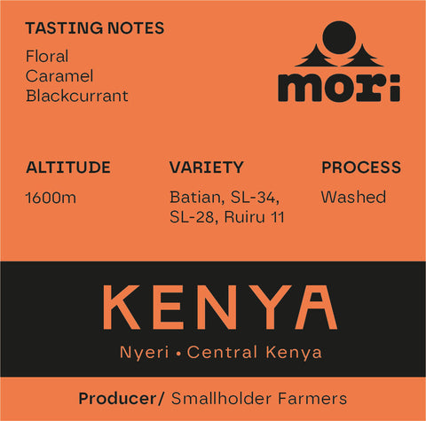 Kenya - Nyeri - Kenia Central - Lavado