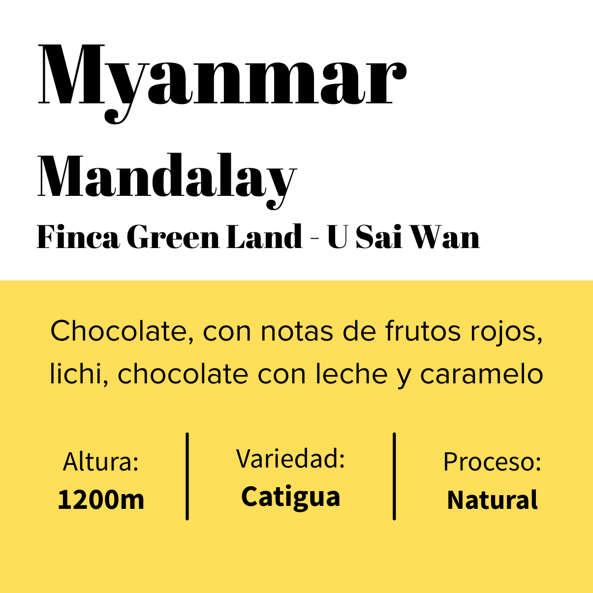 Myanmar -  Pyin Oo Lwin -  Catiguá - Natural