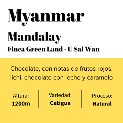 Myanmar -  Pyin Oo Lwin -  Catiguá - Natural