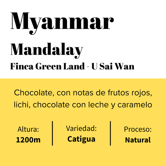 Myanmar -  Pyin Oo Lwin -  Catiguá - Natural