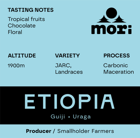 Etiopia - Guiji - Uraga  – Maceración Carbónica